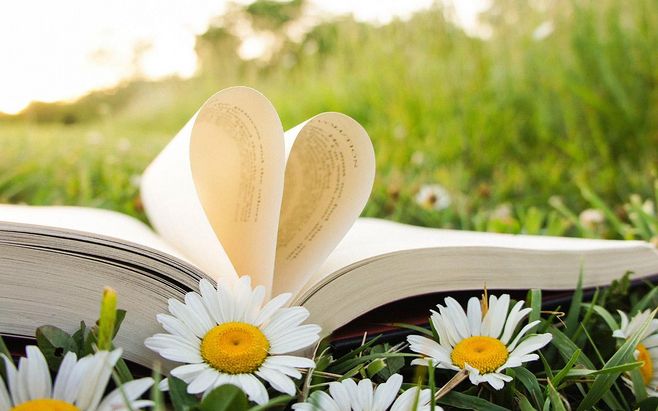 山东教师资格证