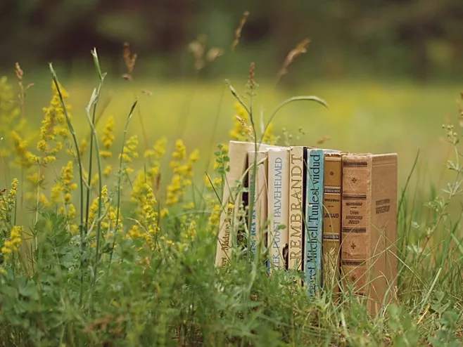 山东教师资格证