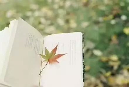 山东教师资格证