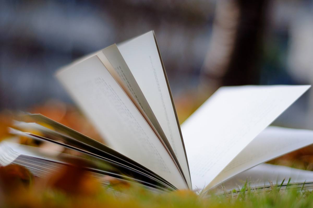 山东教师资格网