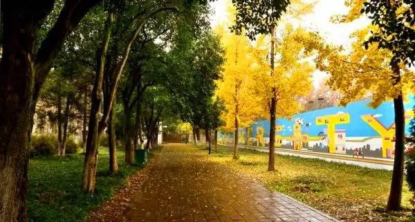 山东教师资格证