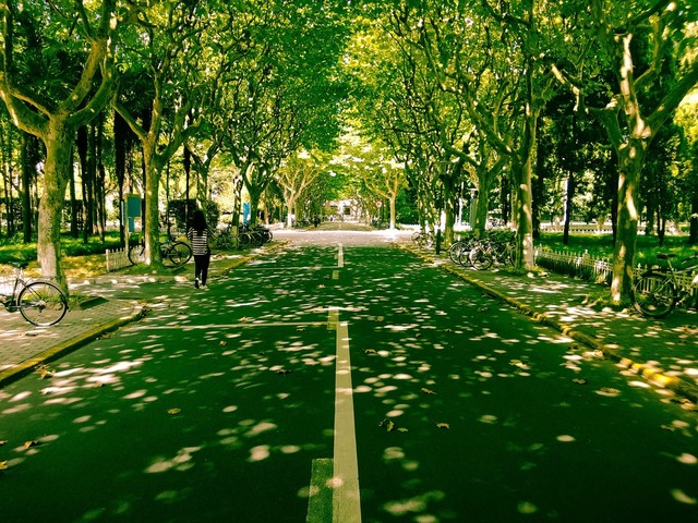 山东教师资格证