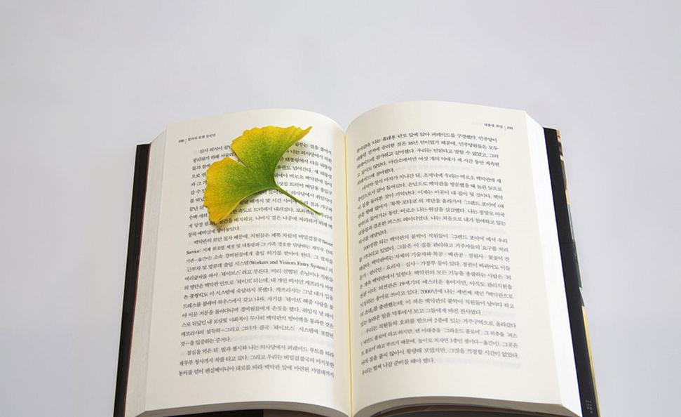 2020年山东教师资格考试每日一练答案及解析(5)