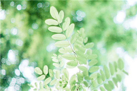 山东教师资格证和教师招聘区别竟然这么大!