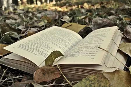 2020年山东教师资格考试每日一练 (11)