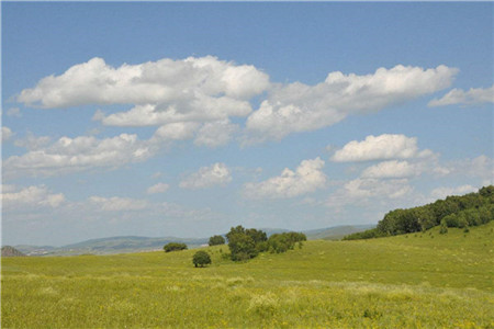 2020山东教师招聘面试：培养幼儿良好生活习惯的方法