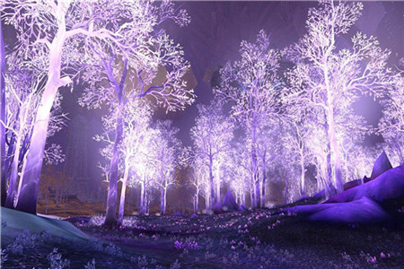 　2020年淄博中小学教师资格认定时间!