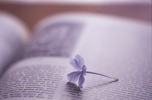 2020年山东教师资格考试每日一练 (14)