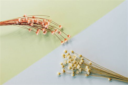 2020年山东教师资格考试每日一练 (16)