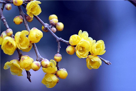 2020年山东教师资格考试每日一练 (17)