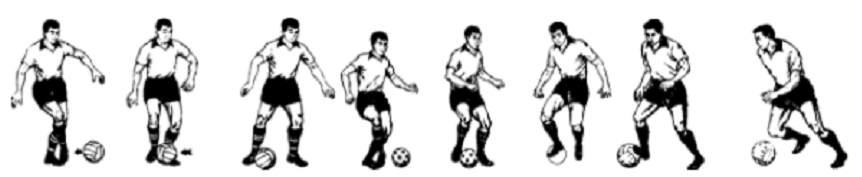 山东小学教师资格笔试