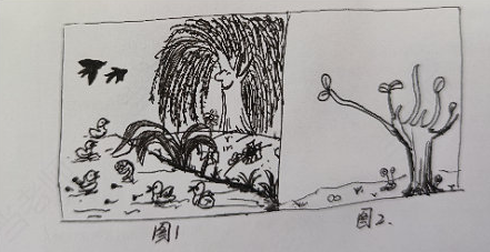 山东幼儿教师资格笔试